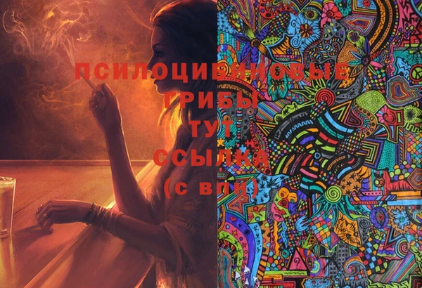 мескалин Новозыбков