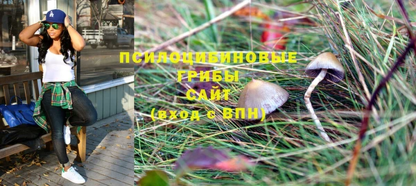 mdpv Новодвинск