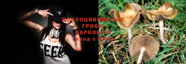 mdpv Новодвинск