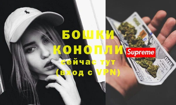 мяу мяу мука Сясьстрой