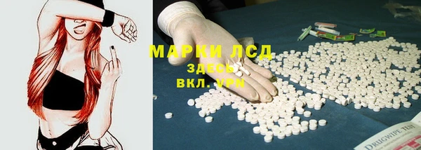 ГАЛЛЮЦИНОГЕННЫЕ ГРИБЫ Елабуга