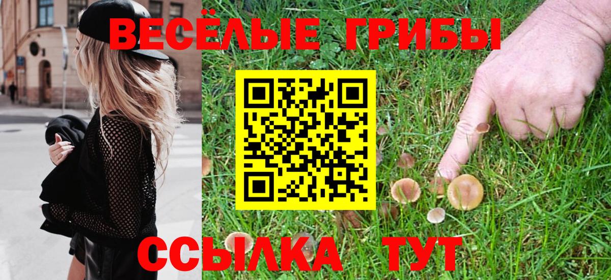 Галлюциногенные грибы Psilocybine cubensis  Вход с VPN  где найти наркотики  Белебей 