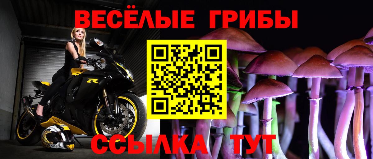 Псилоцибиновые грибы мицелий Белебей